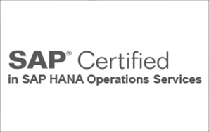Novis certificado en SAP HANA Operations