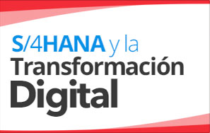 Extendemos una invitación a nuestro Webinar S/4 HANA y la transformación digital
