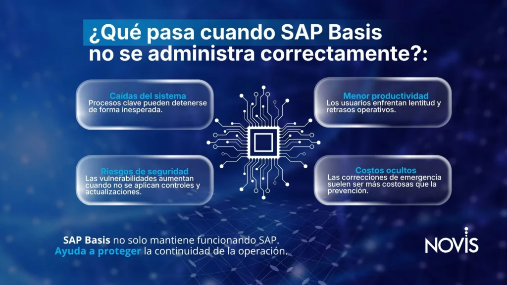 Infografía-sobre-SAP-Basis
